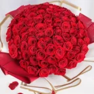99-majestic-red-roses_2_1