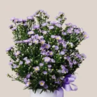 Aster-Flower-and-Cake-ComboDONE1