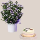 Aster-Flower-and-Cake-ComboDONE2