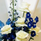 Blue-Delphinium3