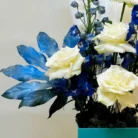 Blue-Delphinium4