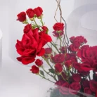 bag-of-roses-for-you_3