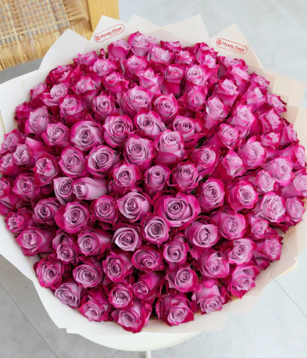 Purple Rose Collection